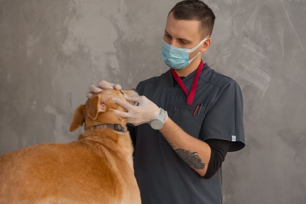 Veterinary team welcoming a new pet-owner family at an Edmonton clinic