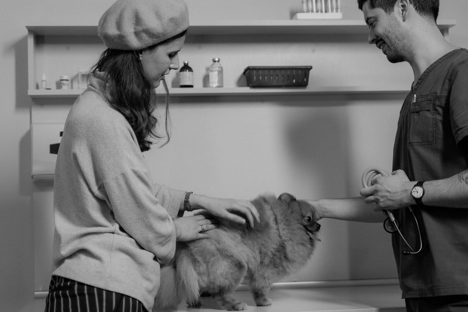 Friendly veterinarian caring for a happy dog at an Edmonton animal hospital